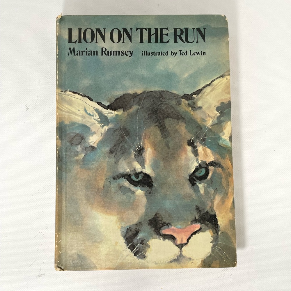 1973 Lion on the Run by Marian Rumpsey, illustrated by Ted Lewin